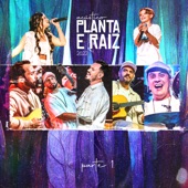 Acústico Planta e Raiz 2022, Pt. 1 artwork