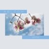 Abloom - Single