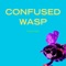 Confused Wasp - Suyash Medh lyrics