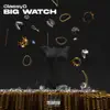 Big Watch - Single album lyrics, reviews, download