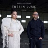 Trei în lume (feat. Puya) - Single