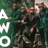 AWO (feat. David Lutalo) - Single album lyrics, reviews, download