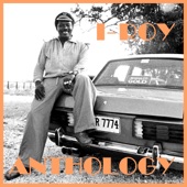 I-Roy Anthology artwork