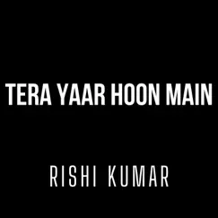 Tera Yaar Hoon Main (Instrumental Version) - Single by Rishi Kumar album reviews, ratings, credits