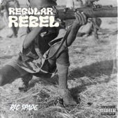 Regular Rebel artwork