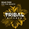 Sean Finn - On the Beach