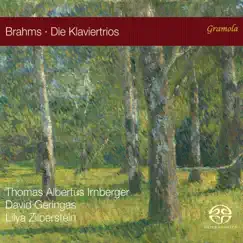 Brahms: Piano Trios by Thomas Albertus Irnberger, David Geringas & Lilya Zilberstein album reviews, ratings, credits