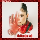 Üzüldün Mü artwork