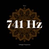 741 Hertz - Solfeggio Frequencies