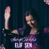 Antep Türküsü - Single