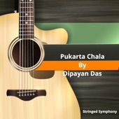 Pukarta Chala (Instrumental Version) artwork