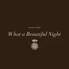 What a Beautiful Night - Single album lyrics, reviews, download