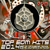 Top 30 EDM Hits 2014: Best of Top Dubstep, Trance, Electro, Downtempo & Psy Trance - Various Artists