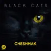 Stream & download Cheshmak - Single