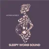 Stream & download In Womb Recording