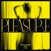 Pleasure artwork