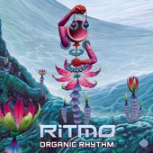 Organic Rhythm artwork