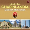 Música Mexicana 1