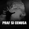 Praf Si Cenusa - Yenic lyrics
