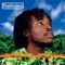 Black Starliner - Bushman lyrics