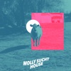 Molly sucht House