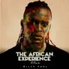 The African Experience album lyrics, reviews, download