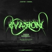 Evasion artwork