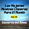 Las Mejores Músicas Llaneras para el Mundo, Vol. 19