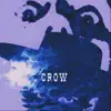 Crow - Single album lyrics, reviews, download