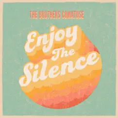Enjoy the Silence - Single by The Brothers Comatose album reviews, ratings, credits