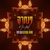 פנתרה (Itay Galo Official Remix) artwork