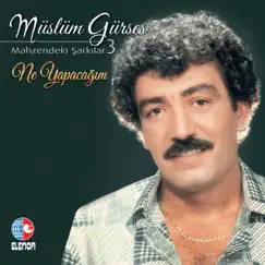 Ne Yapacağım (Mahzendeki Şarkılar 3) - Single by Müslüm Gürses album reviews, ratings, credits