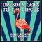 A Swell Carousel - Dresden, the Flamingo lyrics