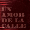 Un Amor de la Calle - Single