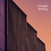 Teenage Dirtbag - Single