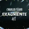 Fragmente - Single album lyrics, reviews, download