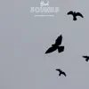 Bird Sounds Relaxing Noise of Nature album lyrics, reviews, download