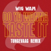 Do Ya Wanna Taste It (Tungevaag Remix) artwork