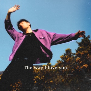 The Way I Love You - Single