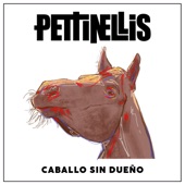 Caballo sin dueño artwork