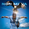 NON MI VA - Single