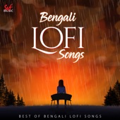 Bengali Lofi Songs (Lofi) artwork