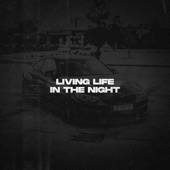 Living Life, in the Night artwork