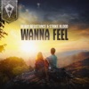 Wanna Feel - Single