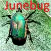 Junebug - Single album lyrics, reviews, download