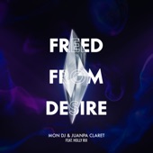 Freed From Desire (feat. Holly Rix) artwork