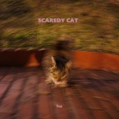 SCAREDY CAT artwork