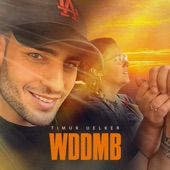 WDDMB artwork