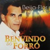 Beija-Flor