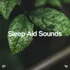 !!!" Sleep Aid Sounds "!!! album lyrics, reviews, download